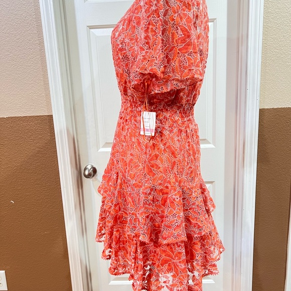 Taylor V Neck Ruffle Dress - Picture 3 of 7